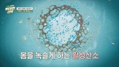 숨만 쉬어도 생긴다?! 전신을 위협하는 만병의 근원, 활성 산소 | JTBC 260321 방송