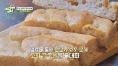 건강한 식습관과 함께 소화력을 높이는 비결은 바로! ⭐효소⭐ 챙겨 먹기 | JTBC 260404 방송