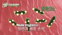 노년 건강을 무너뜨리는 주범 활성산소 주의보️ | JTBC 260523 방송
