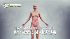 탄수화물 가득한 식단! 튀르키예 사람들의 체중 관리 성공법 | JTBC 260606 방송