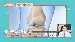 콘드로이친으로 연골 성분 보충하고 관절 유지 돕자↗ | JTBC 251119 방송