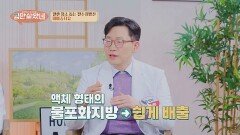 뇌혈관 건강을 위해 먹는 '좋은 지방'은 무엇이 있을까🧐 | JTBC 260325 방송