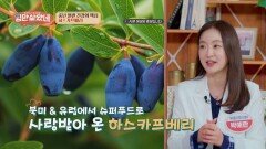 중년 혈관 건강의 핵심!️ 생명의 불로초 '하스카프베리'🫐 | JTBC 260527 방송