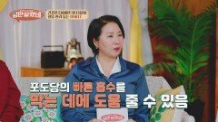 다이어트 중 탄수화물 못 끊겠다면 탄수화물 흡수 막는 '이것'에 주목하라! | JTBC 260610 방송