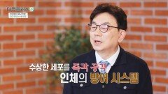 암 세포를 공격하는 NK세포란? | JTBC 260524 방송