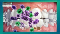 입안을 지켜주는 착한 균의 정체?! | JTBC 260531 방송