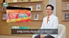 피부 탄력이 무너지는 이유‍, 피부 구조를 지탱하는 OOO에 있다! | JTBC 260302 방송