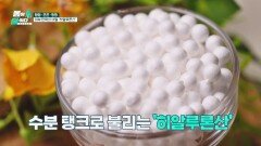 피부의 수분 보유량을 잡아주는 '이것'의 정체‼️ | JTBC 260302 방송