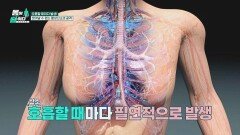 나이가 들수록 체내에 늘어나 뇌에 영향을 주는 '이것'🧠 | JTBC 260316 방송