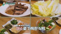 염증 막고 면역력 업! ↗↗ 배우 김영란의 암 예방 생활습관🥗 | JTBC 260420 방송