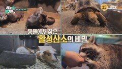 바디멘터리 몸이 답이다 10회 예고편