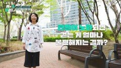 노인 보행 사고의 60%는 횡단보도 관절 노화의 영향? | JTBC 260518 방송