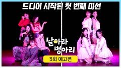 날아라 병아리 3회 예고편 - 드디어 시작된 첫 미션