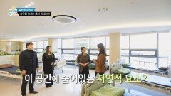 마음을 어루만지는 치유의 공간️‍🩹 병실 안 숨어있는 자연적 요소?