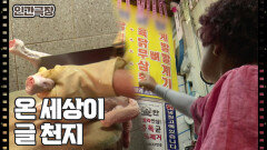 [할매요, 학교 가재이] (11/15) [인간극장/Screening Humanity] | KBS 240725 방송