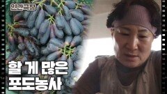 [포도밭의 점님씨] (11/15) [인간극장/Screening Humanity] | KBS 241121 방송