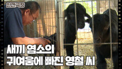 [힘을 내요 영철씨] (9/15) [인간극장/Screening Humanity] | KBS 251105 방송 