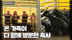 [힘을 내요 영철씨] (13/15) [인간극장/Screening Humanity] | KBS 251107 방송 