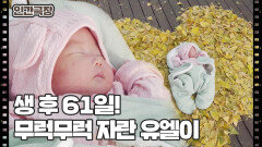 [19년 만에 아기가 태어났어요] (8/15) [인간극장/Screening Humanity] | KBS 251231 방송 