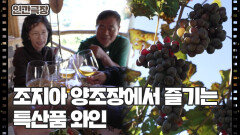 [백수 가족의 세계 일주] (5/15) [인간극장/Screening Humanity] | KBS 260106 방송 