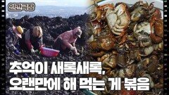 [비양도 세 모녀] (6/15) [인간극장/Screening Humanity] | KBS 260210 방송 