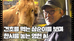 [소는 내 운명] (4/15) [인간극장/Screening Humanity] | KBS 260303 방송 