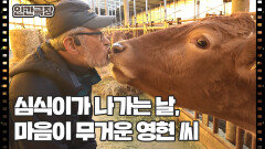 [소는 내 운명] (6/15) [인간극장/Screening Humanity] | KBS 260303 방송 