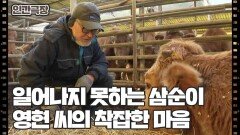 [소는 내 운명] (9/15) [인간극장/Screening Humanity] | KBS 260304 방송 