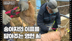 [소는 내 운명] (10/15) [인간극장/Screening Humanity] | KBS 260305 방송 