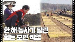 [지금이 딱 좋아] (13/15) [인간극장/Screening Humanity] | KBS 260515 방송 