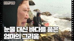 [파란만장 해녀 선옥] (4/15) [인간극장/Screening Humanity] | KBS 260714 방송 