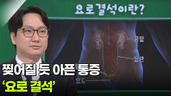 박태영 비뇨의학과 교수, 찢어질 듯 아픈 통증 ‘요로 결석’ | KBS 260430 방송 