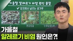 배정호 이비인후과 교수, 가을철 비염 주의보 | KBS 260910 방송 