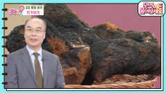 신이 인간에게 준 마지막 선물, ‘차가버섯’의 효능 알아보기 | KBS 240418 방송