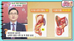 [닥터의 경고] 당뇨병, 염증이 췌장암까지?! 췌장을 지켜라!! | KBS 240715 방송