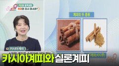 [무엇이든 팩트체크] 커피와 찰떡궁합, 계피와 타서 마셔라? | KBS 251024 방송 