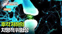 [무엇이든 팩트체크] 냄새 못 맡으면 심장질환의 신호?! | KBS 251114 방송 