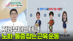[백 년 습관] 지금부터 근테크! 노화와 통증 잡는 근육 운동 | KBS 260121 방송 