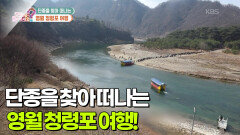 [어디로 떠나볼까?] 단종을 찾아 떠나는 영월 청령포 여행! 어수리 솥밥까지! | KBS 260312 방송 