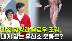 [백년습관] 파워 워킹과 슬로우 조깅, 내게 맞는 유산소 운동은? | KBS 260318 방송 