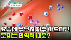 요즘에 유난히 자주 아프다면 문제는 면역력 때문? | KBS 260514 방송 