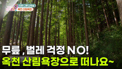 [라이프 매거진] 무릎 걱정 NO! 벌레 걱정 NO! 옥천 산림욕장에서 힐링하세요 | KBS 260619 방송 