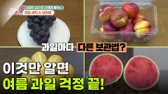 이것만 알면 여름 과일 걱정 끝! | KBS 260702 방송 