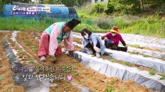 [어서와 고향집] 함께이기에 좋은 날 - 충북 청주 | KBS 220523 방송