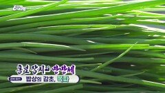 [홍보 장사 만만세] 밥상의 감초, 쪽파 | KBS 231121 방송