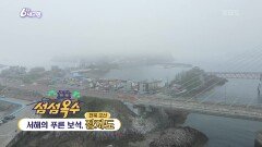 [섬섬옥수] 서해의 푸른 보석, 장자도 | KBS 240419 방송