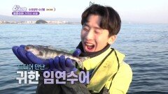 [수요일엔 수산물] 임연수어 가족의 보물 | KBS 240424 방송