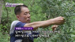 [청산에 살리라] 지리산의 여름 나기 | KBS 240725 방송