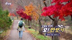 [고향을 부탁해 오!만보기] 경북 청송 [둘쨋 날] | KBS 241127 방송