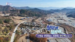 [청산에 살리라] 수명을 연장하는 지팡이, 연수목 | KBS 241128 방송